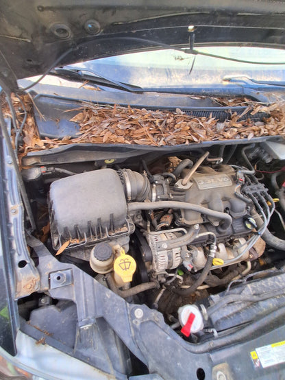 CA_VEHICLE_MEDIA:13090789646:3264703067