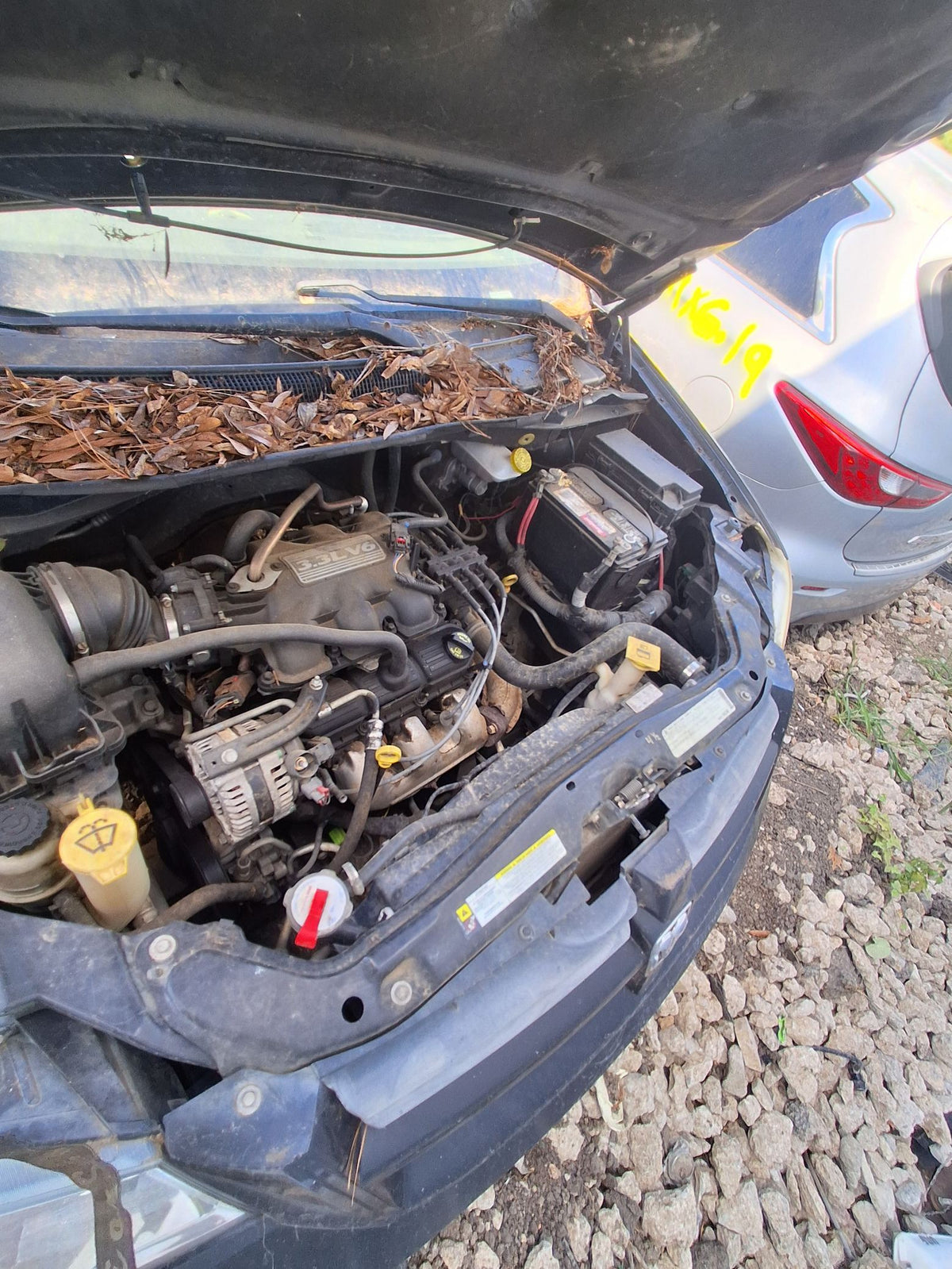 CA_VEHICLE_MEDIA:13090789646:3264703108