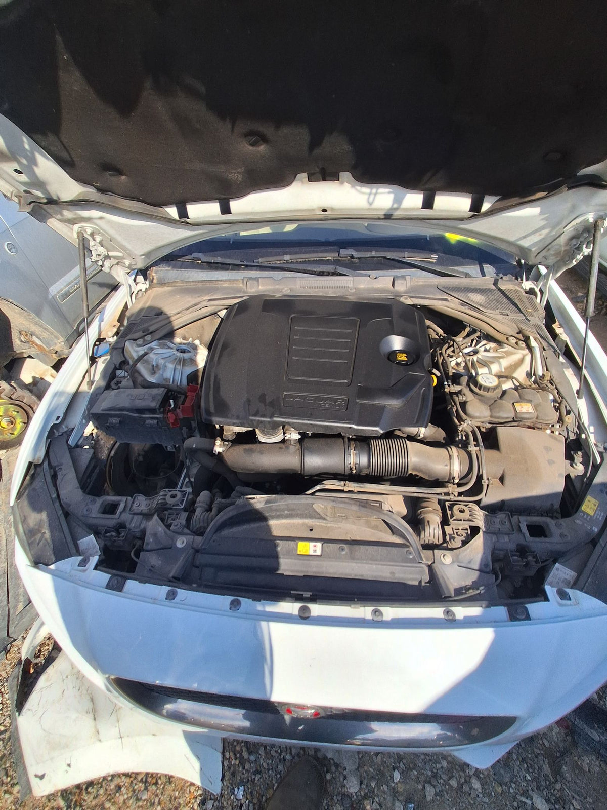 CA_VEHICLE_MEDIA:13090789883:3265009634