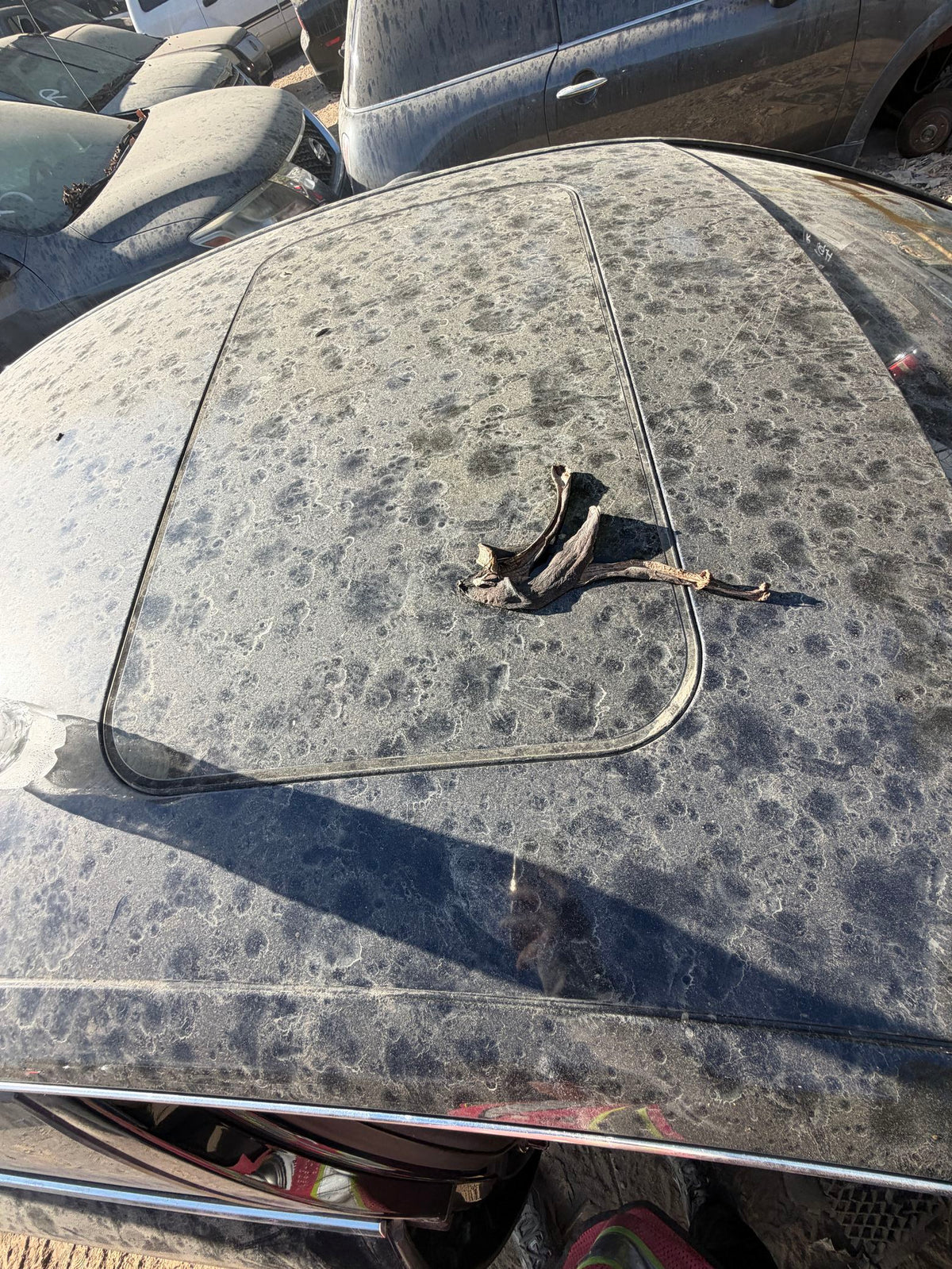 CA_VEHICLE_MEDIA:13090791158:3262635556