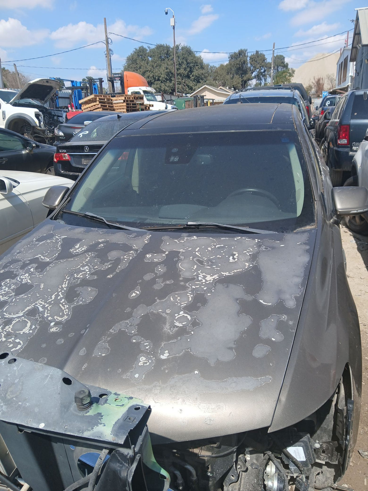 CA_VEHICLE_MEDIA:13146666227:3277510948