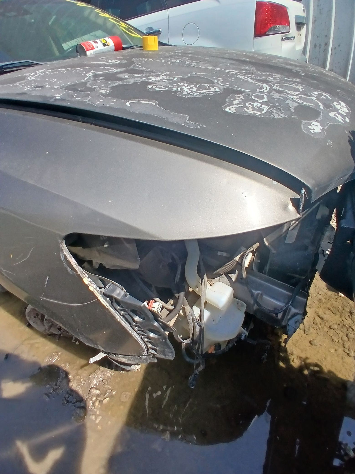 CA_VEHICLE_MEDIA:13146666227:3277522847