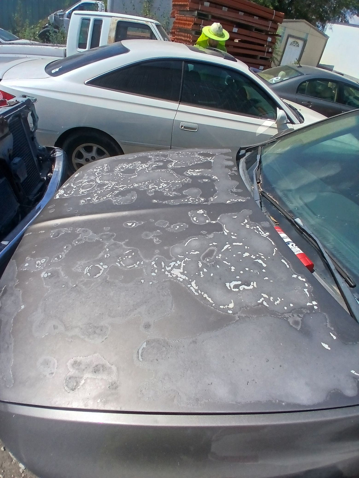 CA_VEHICLE_MEDIA:13146666227:3277522857