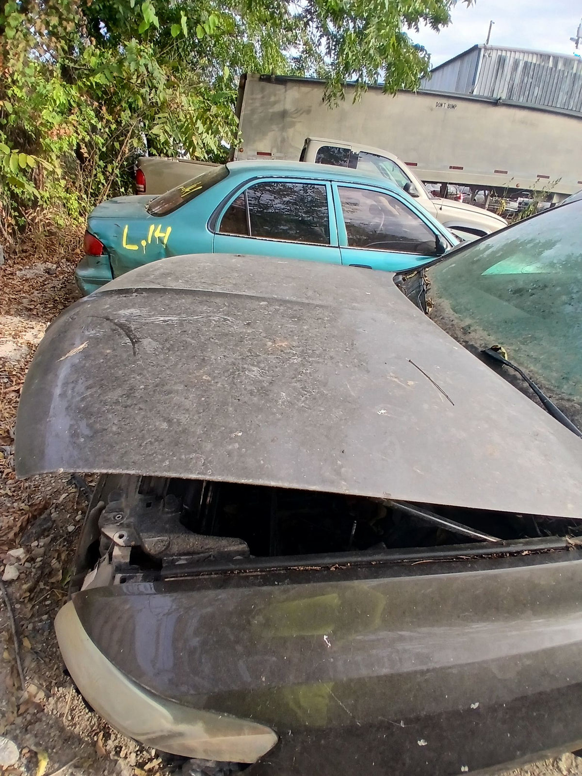 CA_VEHICLE_MEDIA:13146666228:3276635318