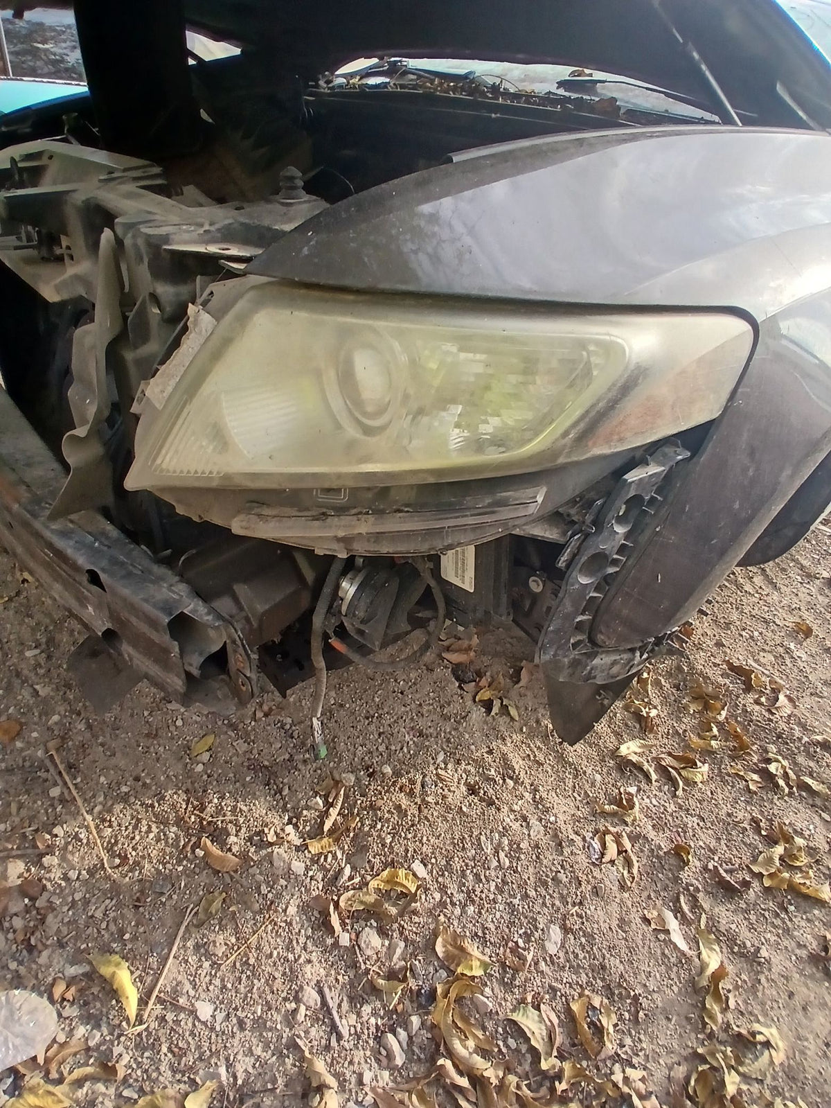 CA_VEHICLE_MEDIA:13146666228:3276636214