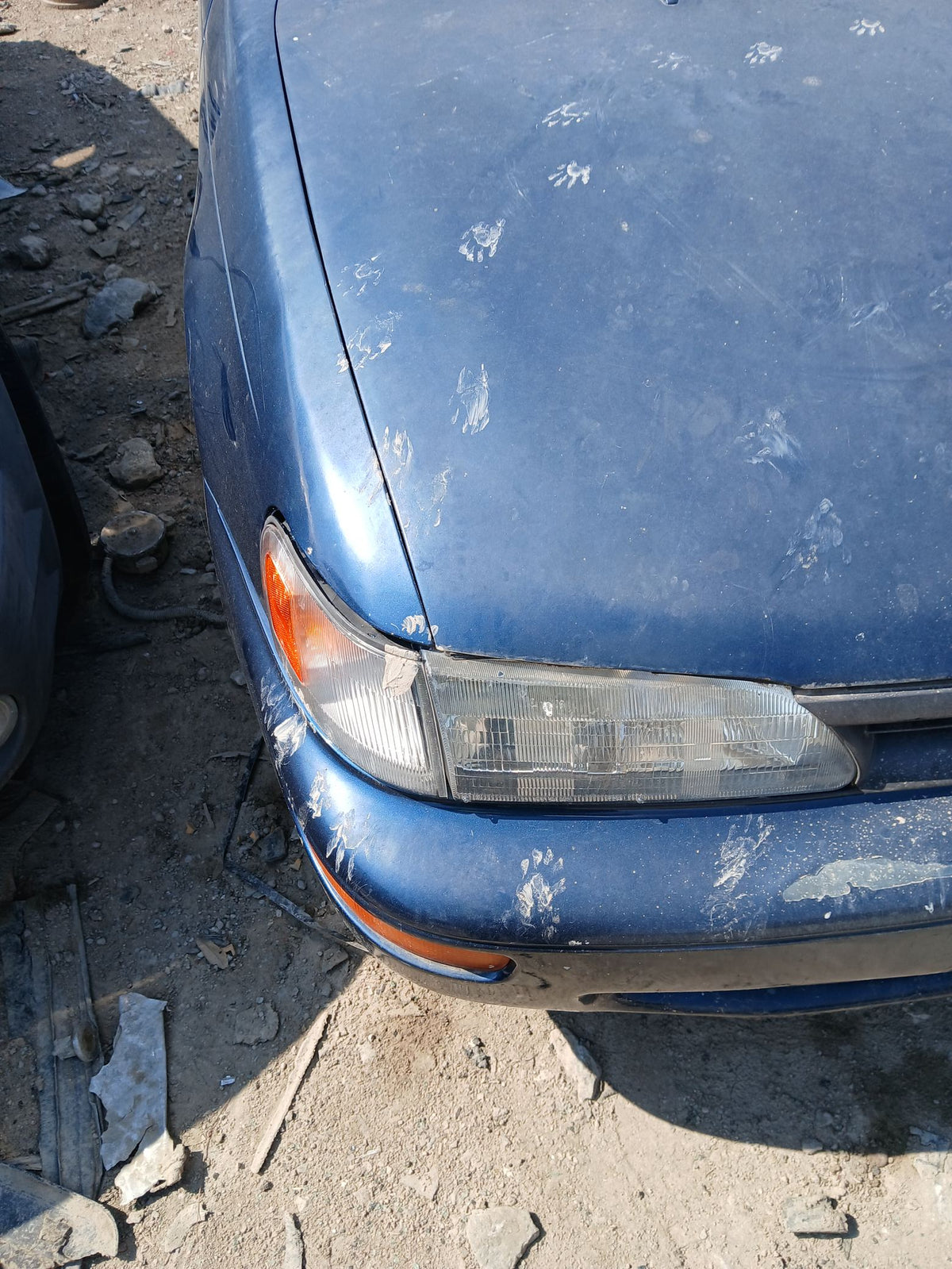 CA_VEHICLE_MEDIA:13146687491:3277828763