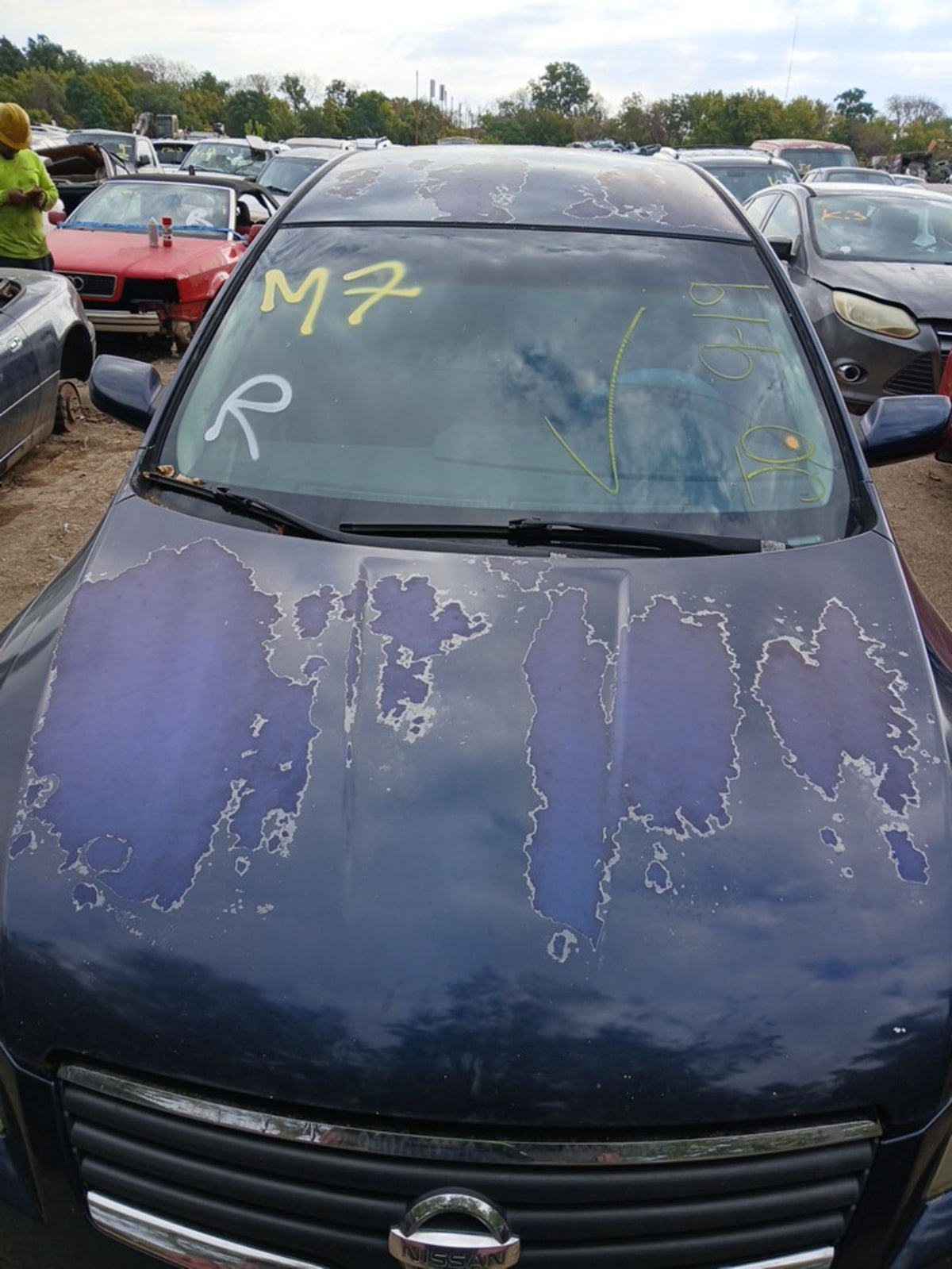CA_VEHICLE_MEDIA:13146687858:3276674909
