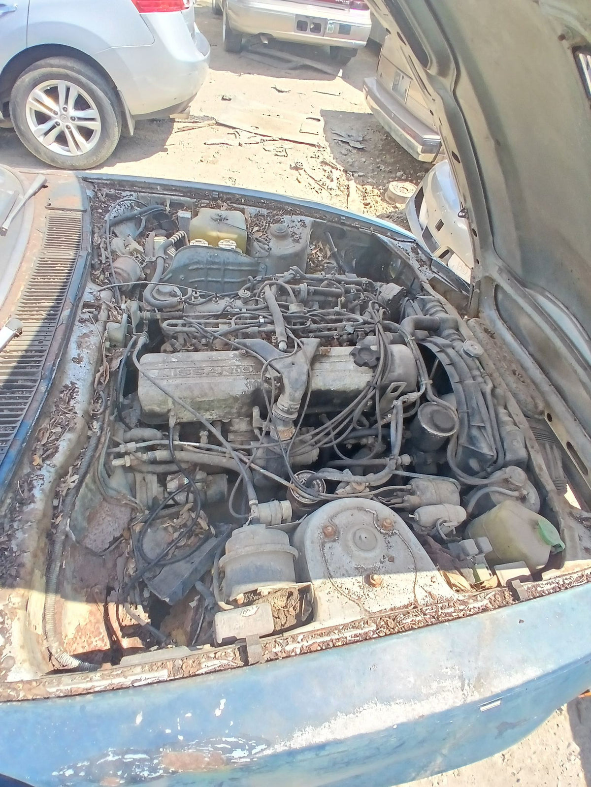 CA_VEHICLE_MEDIA:13146687860:3277605969