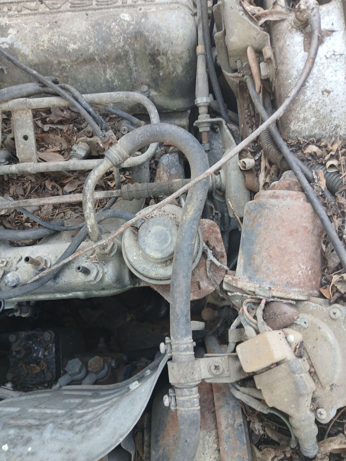 CA_VEHICLE_MEDIA:13146687860:3277627351