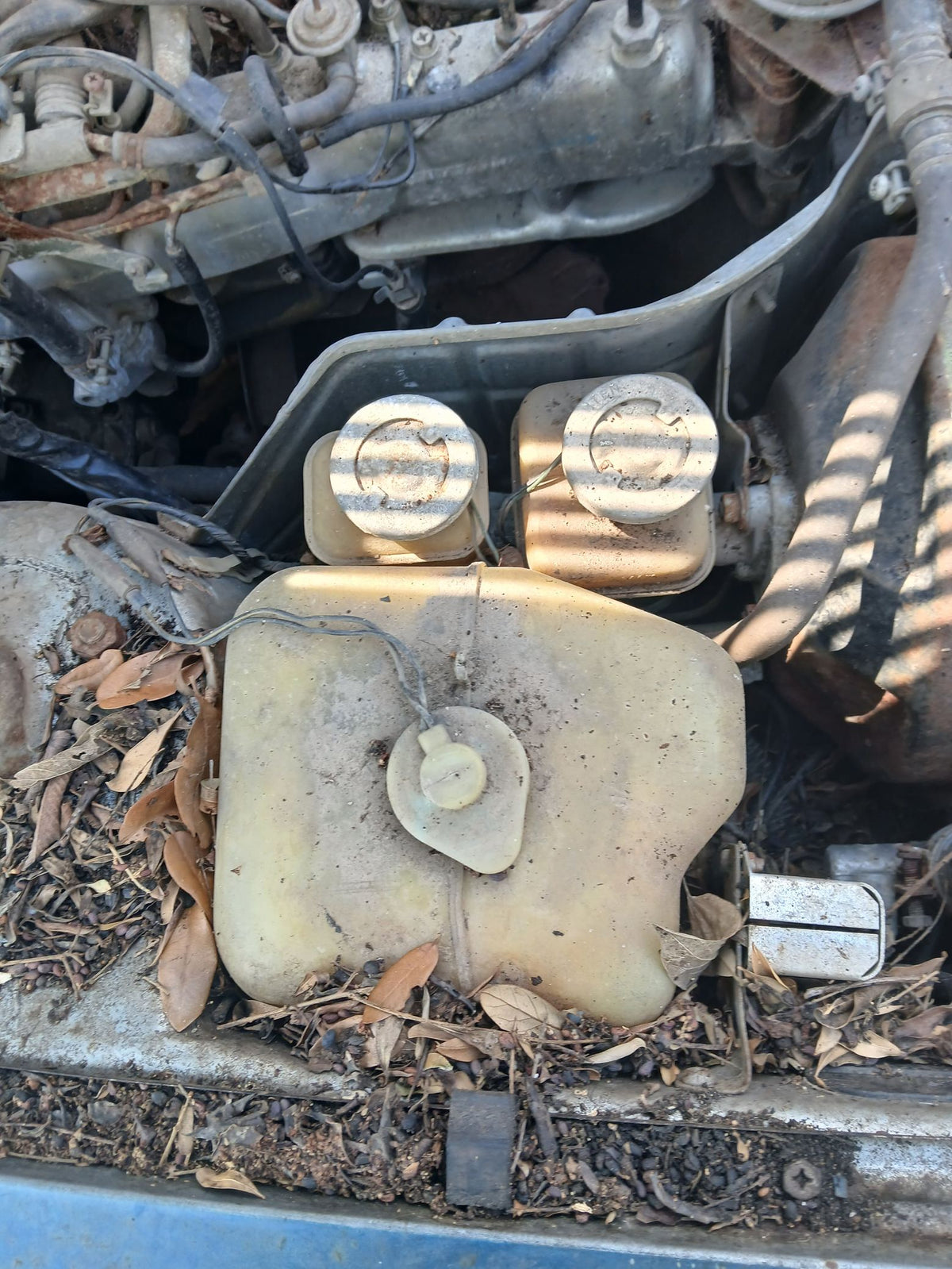 CA_VEHICLE_MEDIA:13146687860:3277627702