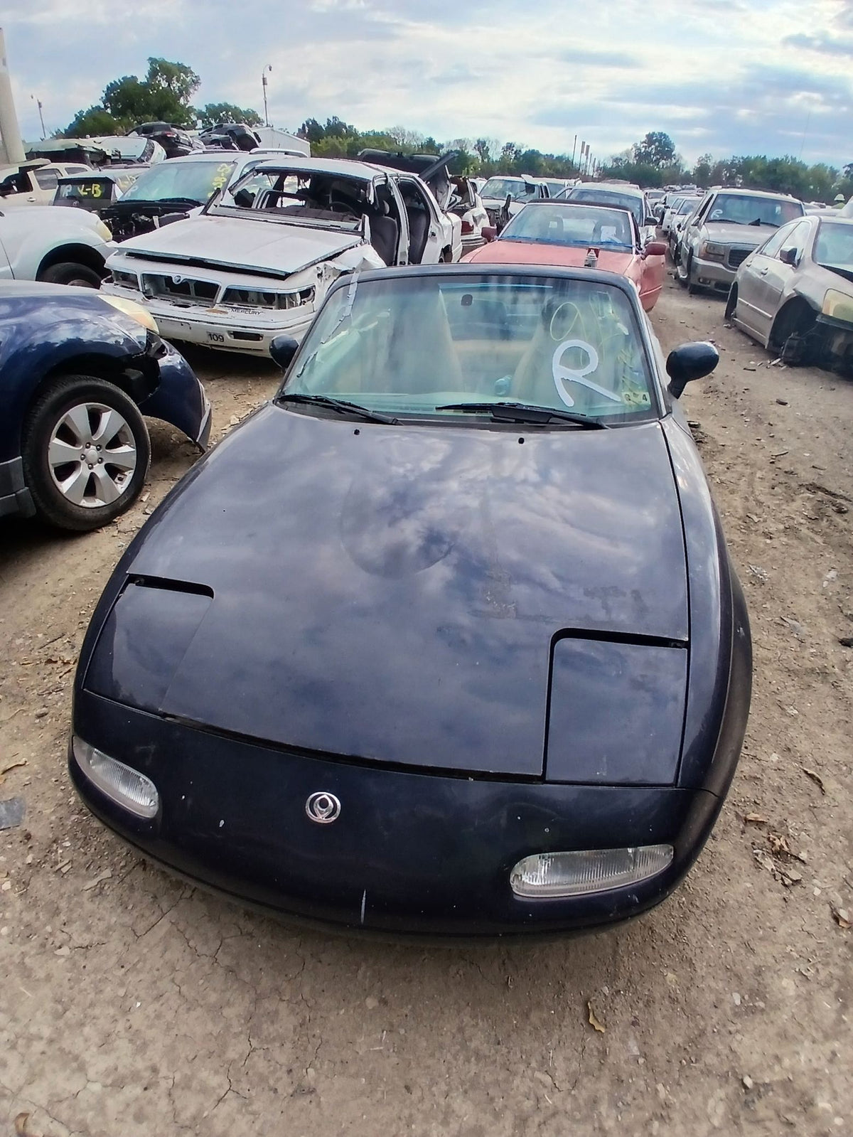 CA_VEHICLE_MEDIA:13146687864:3276659353