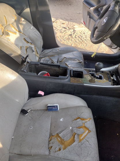 CA_VEHICLE_MEDIA:13146687865:3279674590