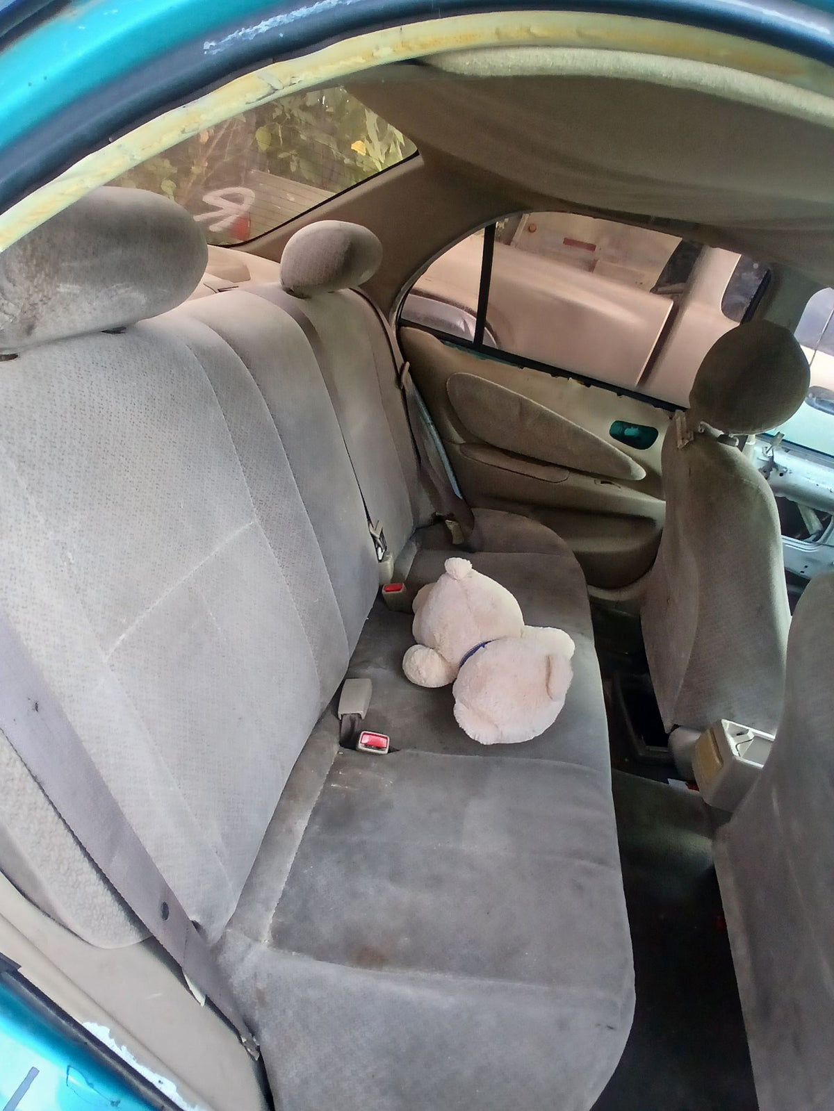 CA_VEHICLE_MEDIA:13146689951:3276487216