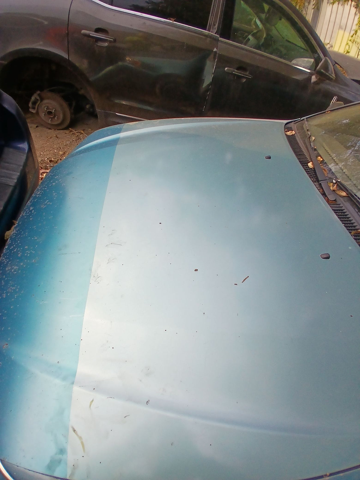 CA_VEHICLE_MEDIA:13146689951:3276490169