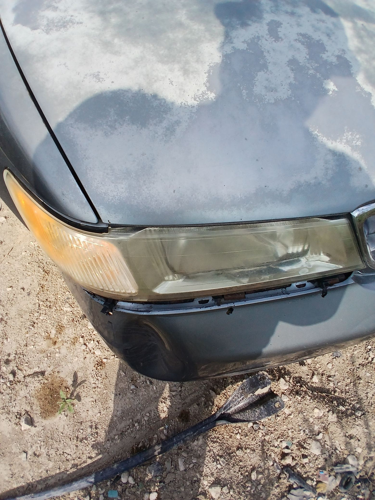 CA_VEHICLE_MEDIA:13146702120:3276931716