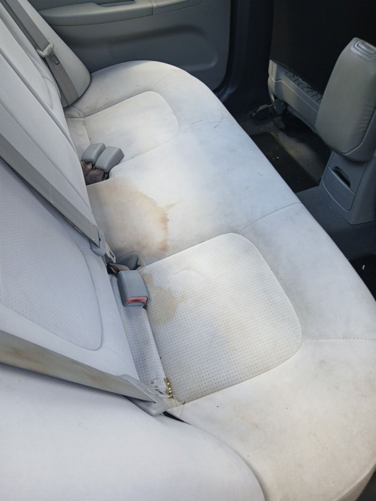 CA_VEHICLE_MEDIA:13146702122:3277535974