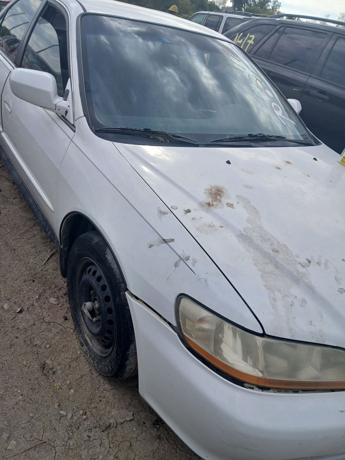 CA_VEHICLE_MEDIA:13146702124:3276833714