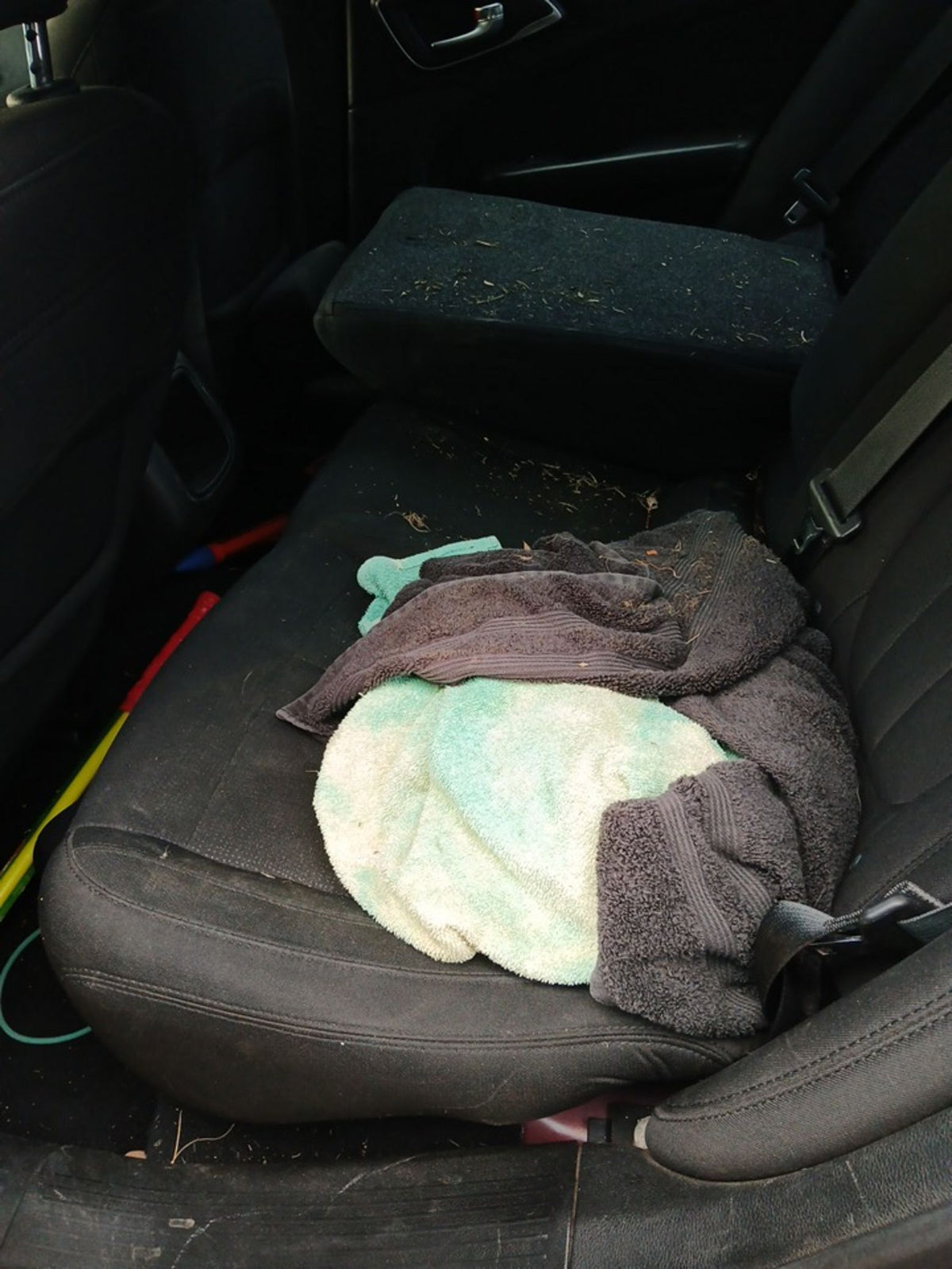 CA_VEHICLE_MEDIA:13146708282:3276443258