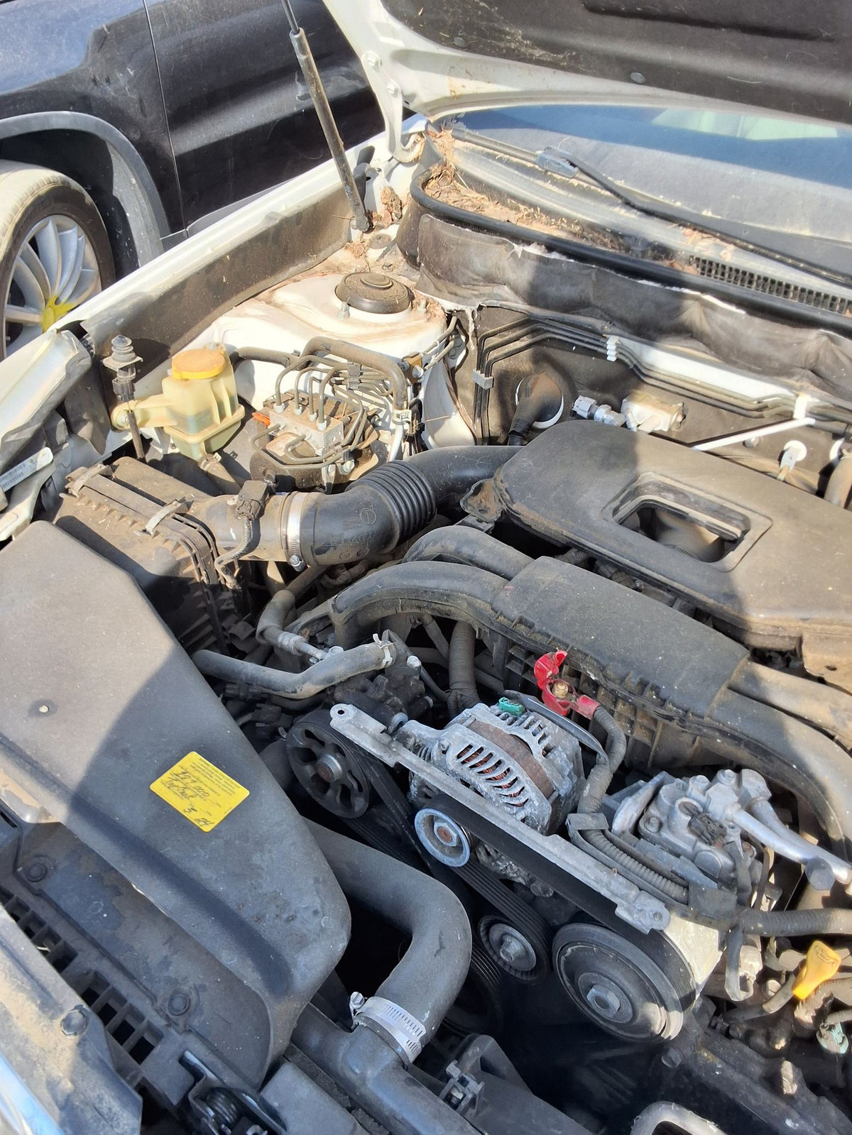 CA_VEHICLE_MEDIA:13146763254:3289921760