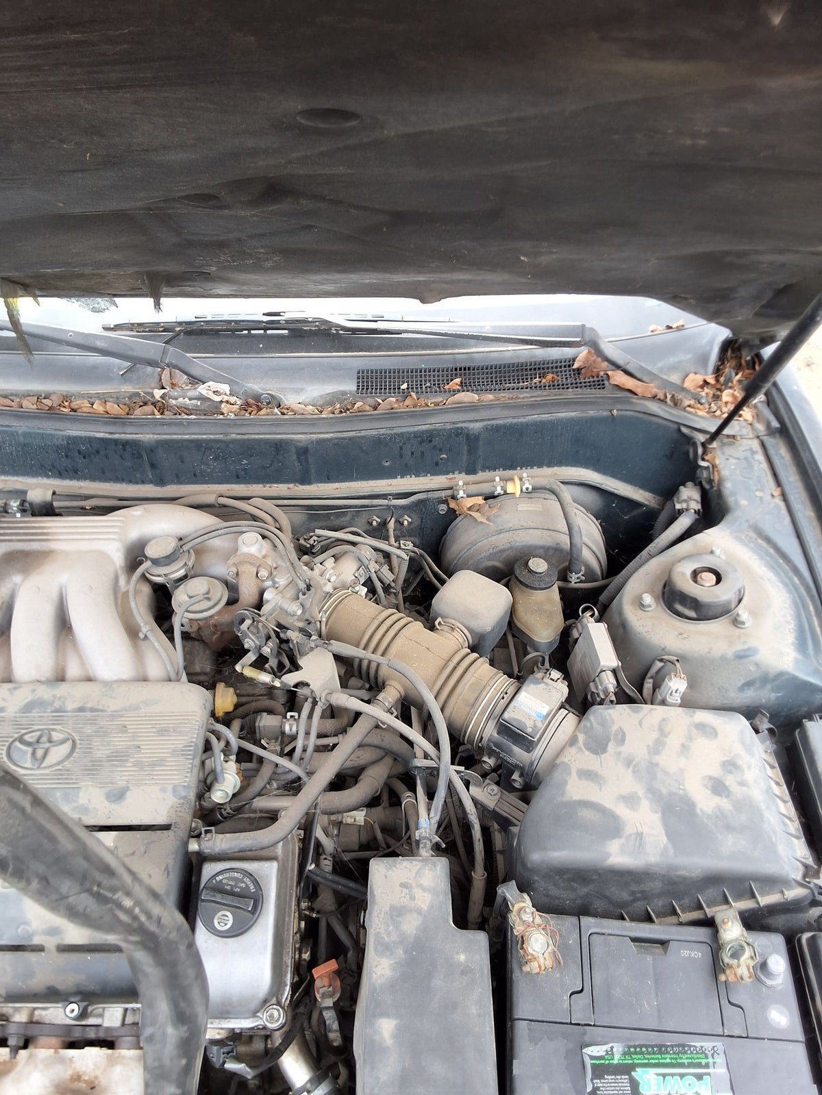 CA_VEHICLE_MEDIA:13146763257:3288522292