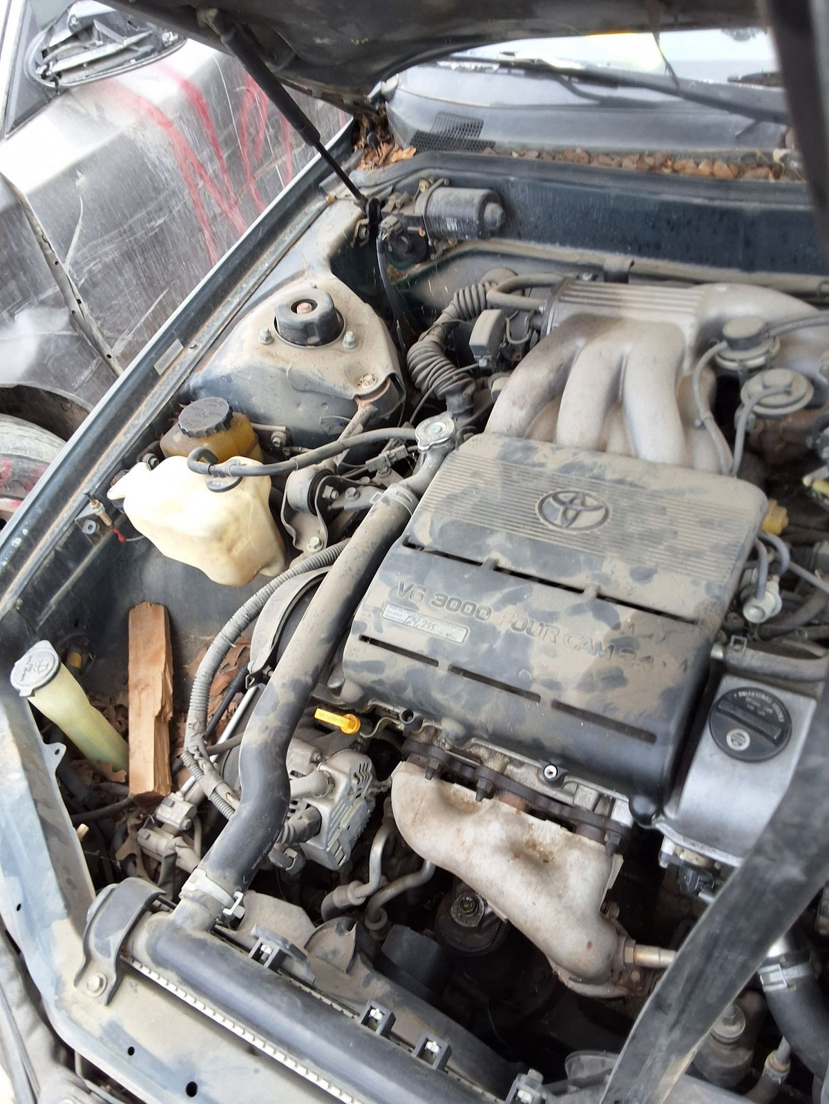 CA_VEHICLE_MEDIA:13146763257:3288522296
