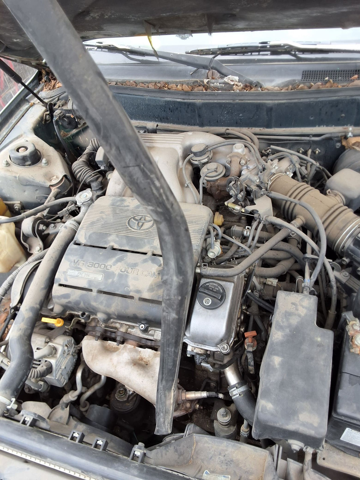 CA_VEHICLE_MEDIA:13146763257:3288522300