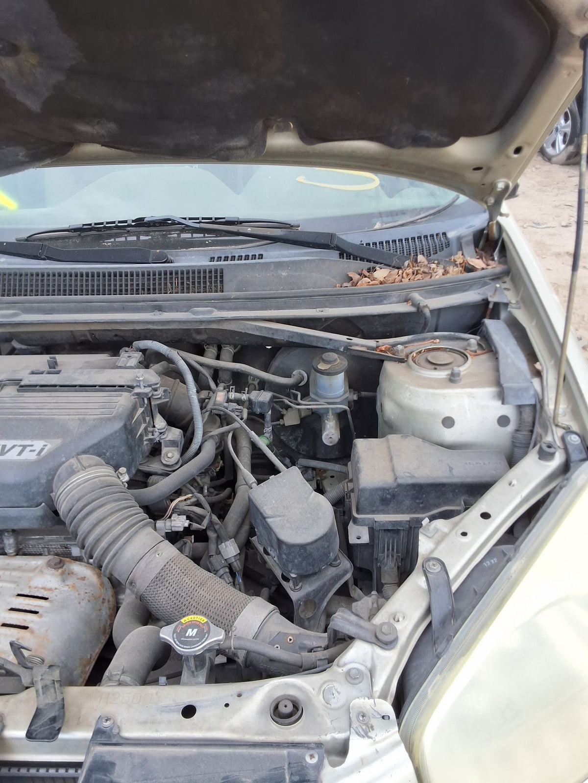 CA_VEHICLE_MEDIA:13146763258:3288504586