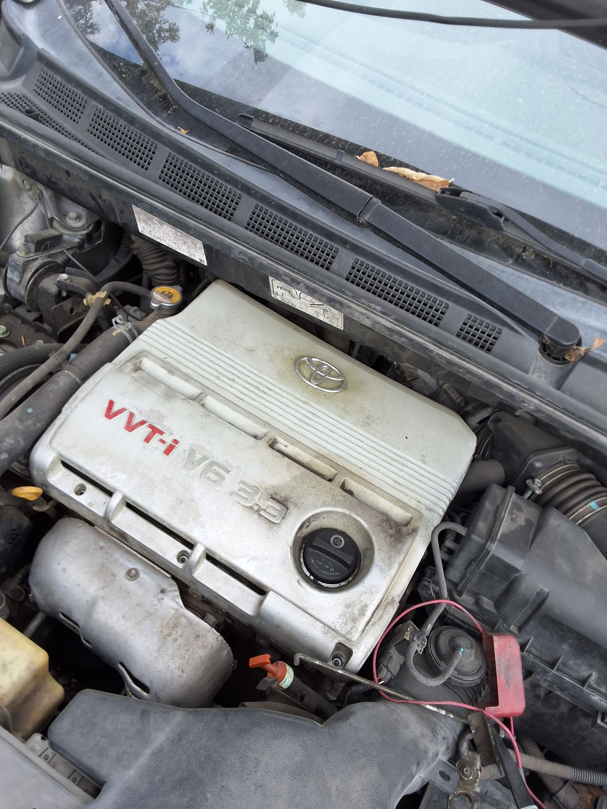 CA_VEHICLE_MEDIA:13146763259:3284444168