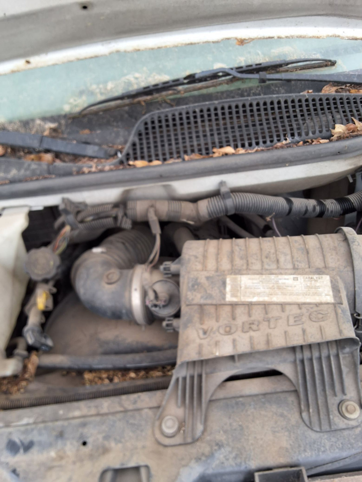 CA_VEHICLE_MEDIA:13146765063:3286861748