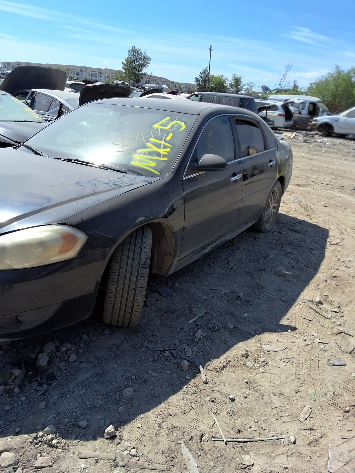 CA_VEHICLE_MEDIA:13146765069:3290062800