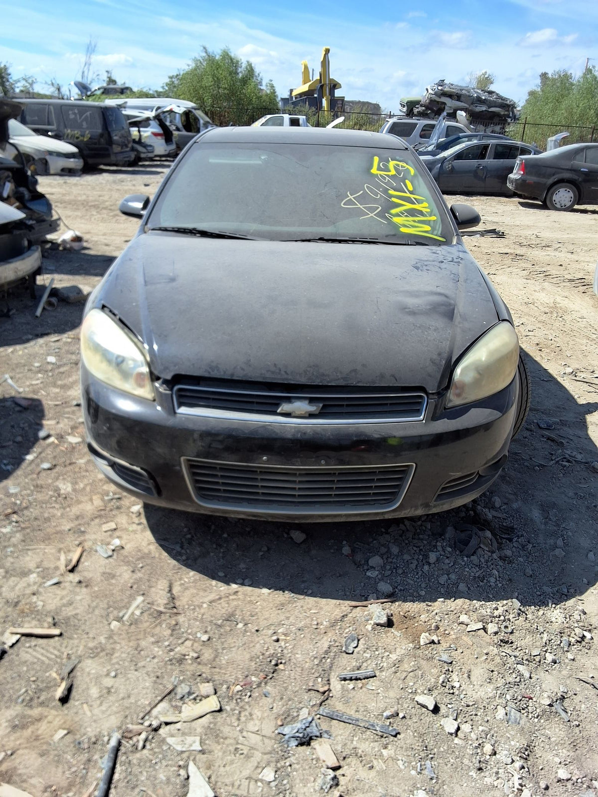 CA_VEHICLE_MEDIA:13146765069:3290062809