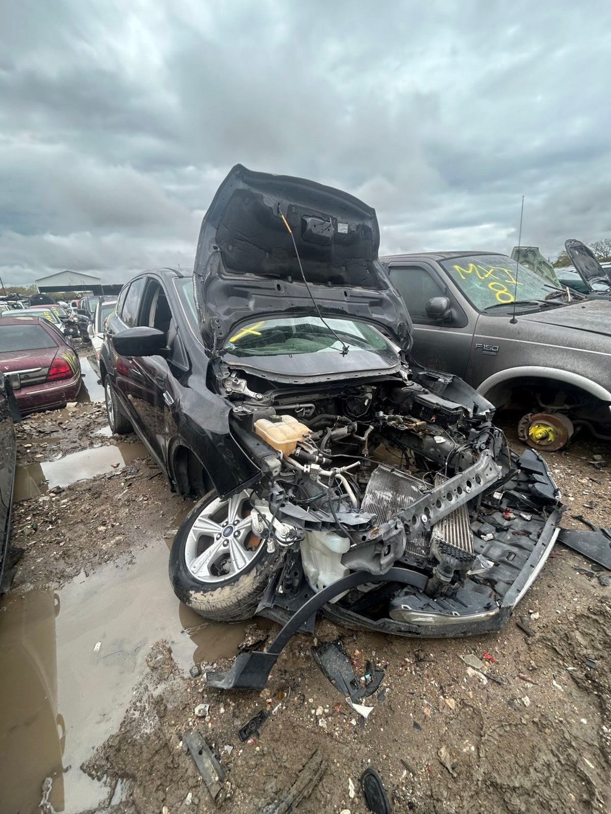 CA_VEHICLE_MEDIA:13146765071:3290335681