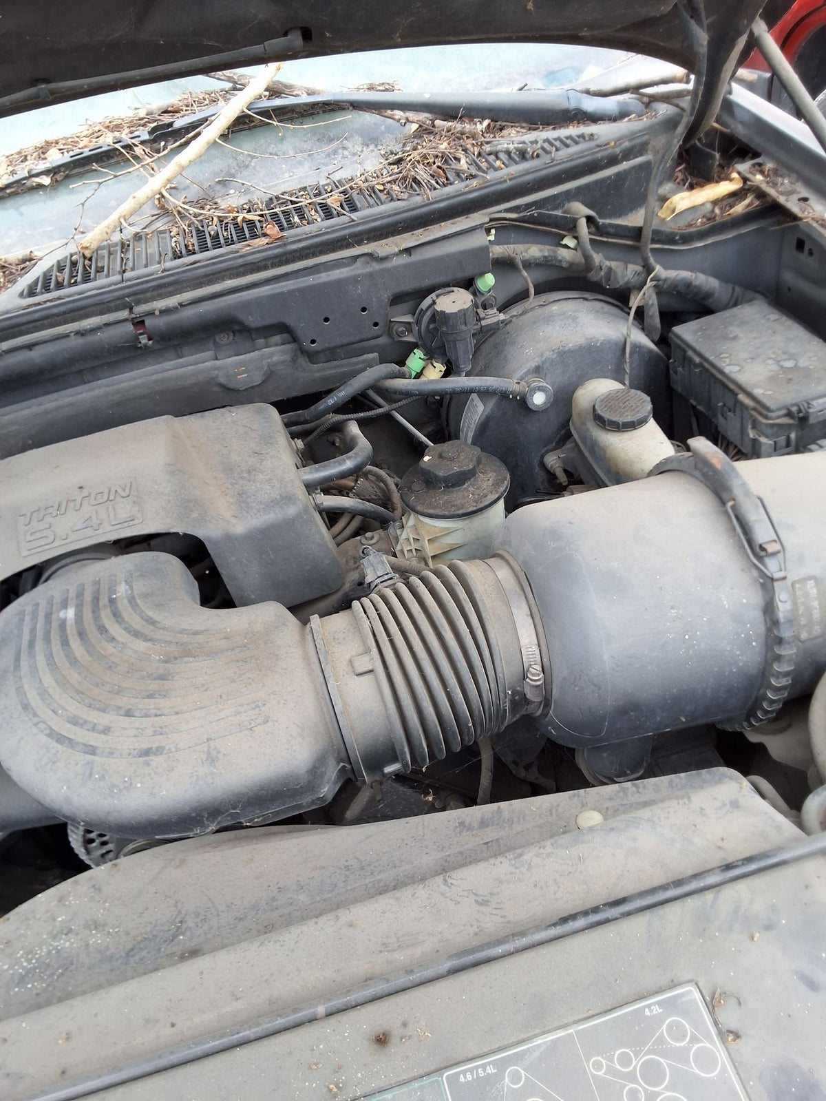 CA_VEHICLE_MEDIA:13146765117:3288516503