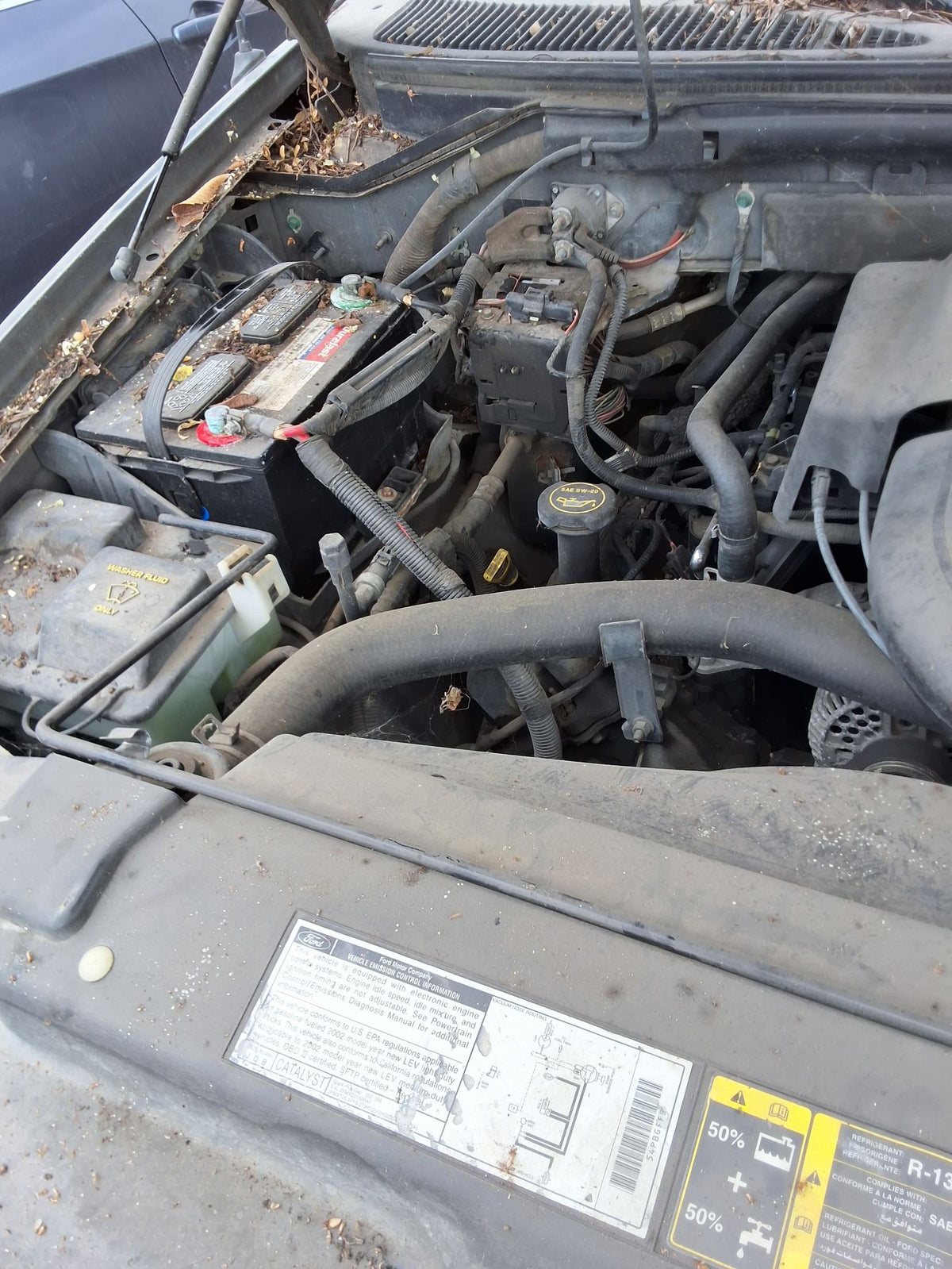 CA_VEHICLE_MEDIA:13146765117:3288516797