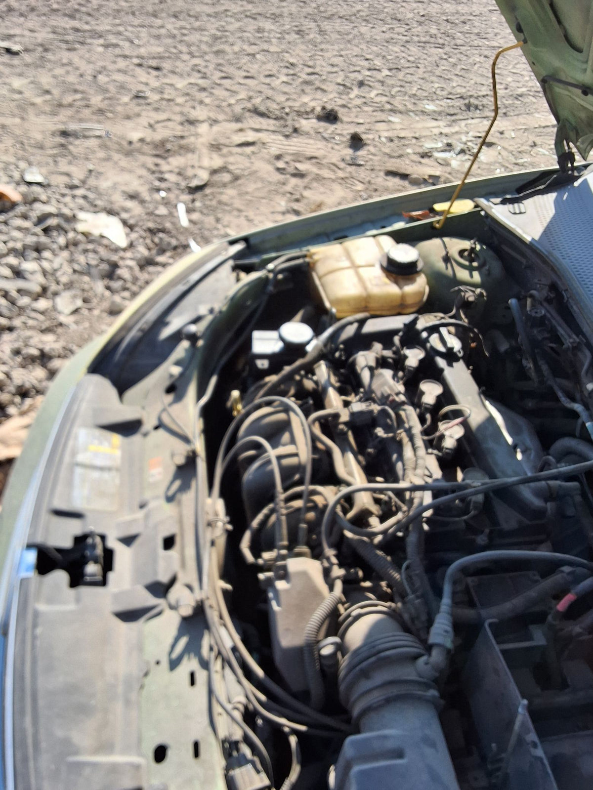 CA_VEHICLE_MEDIA:13146765118:3289858839