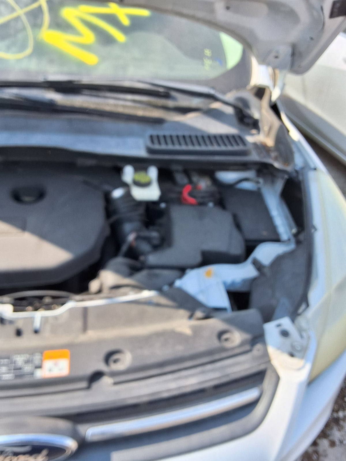 CA_VEHICLE_MEDIA:13146765120:3289791767