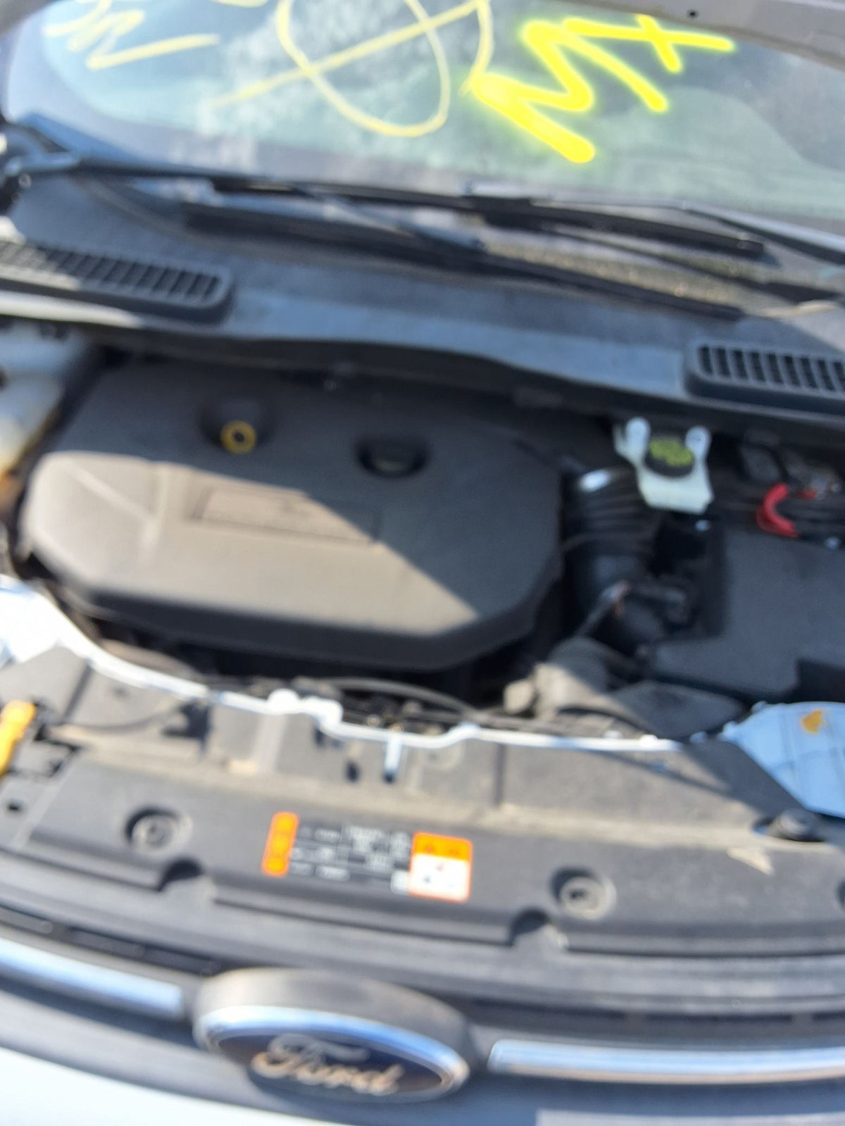 CA_VEHICLE_MEDIA:13146765120:3289791882