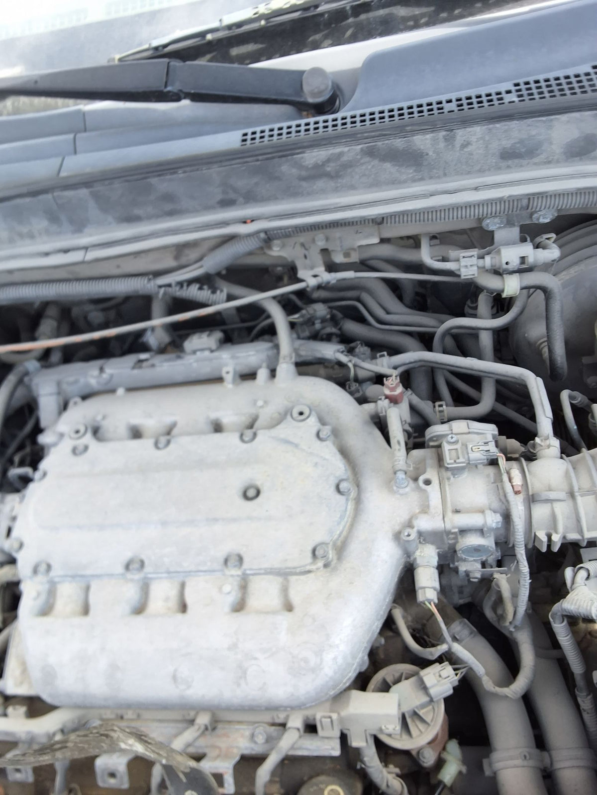 CA_VEHICLE_MEDIA:13146765124:3288546198