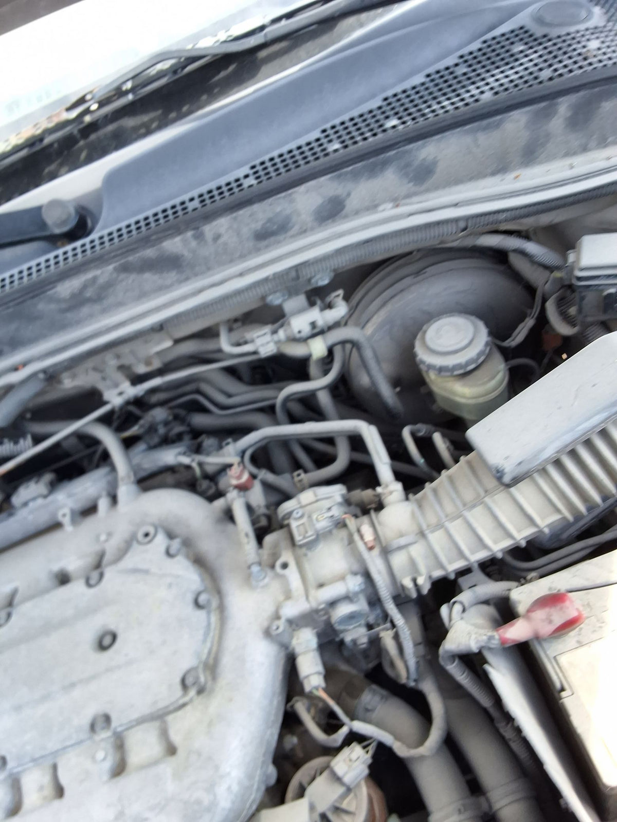 CA_VEHICLE_MEDIA:13146765124:3288546242