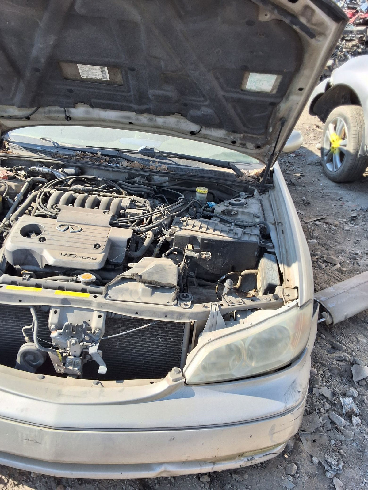 CA_VEHICLE_MEDIA:13146765125:3289872585