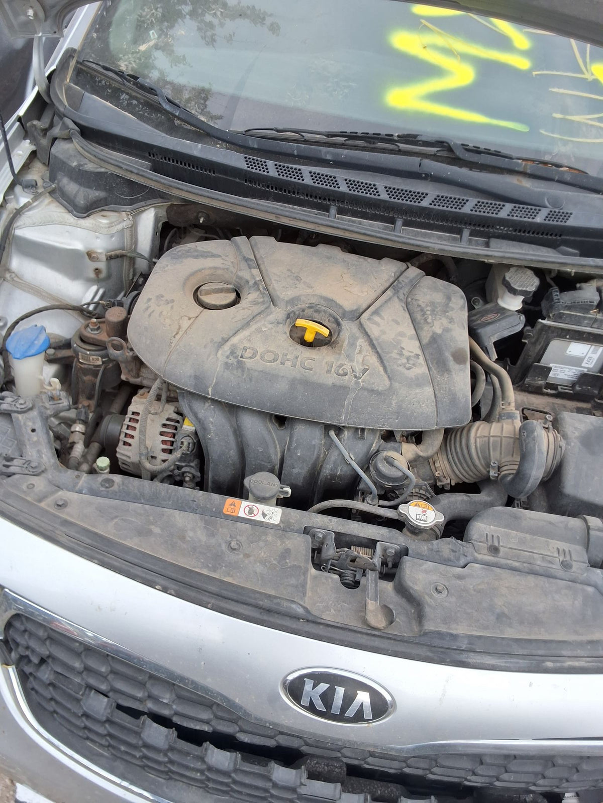 CA_VEHICLE_MEDIA:13146765172:3281524437