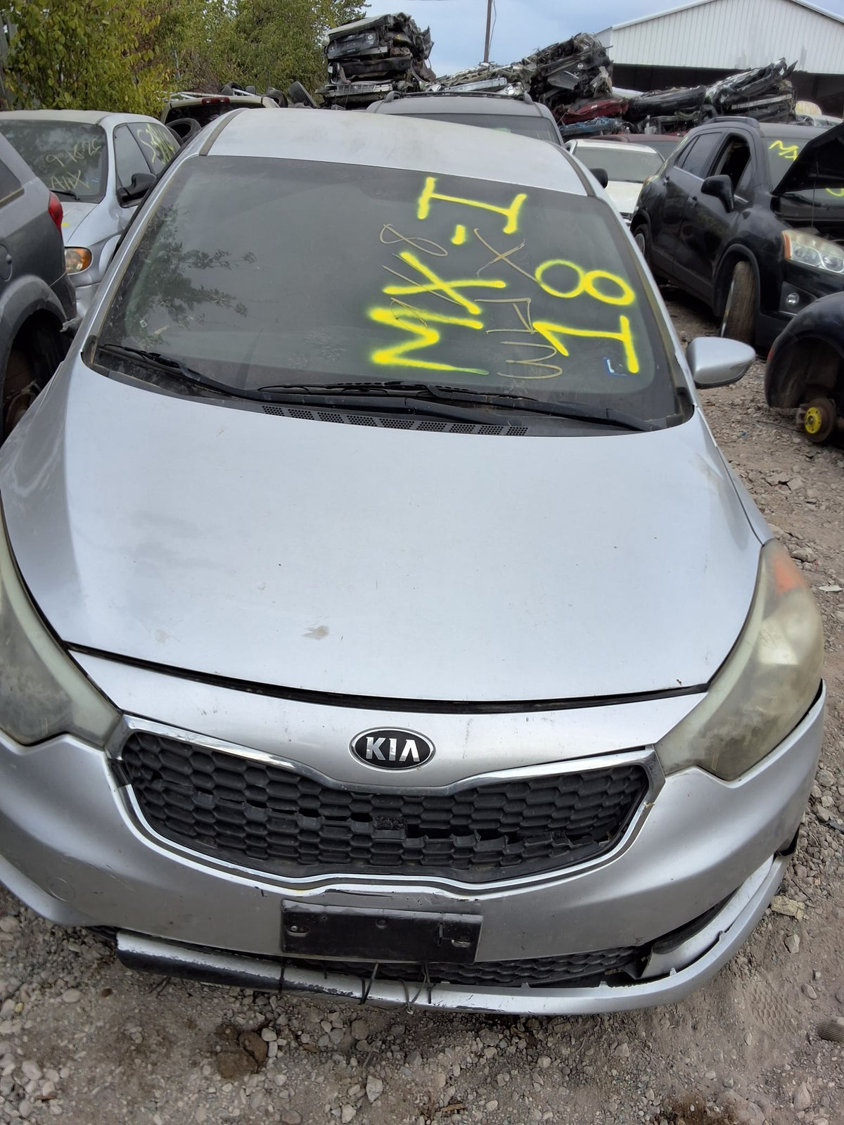 CA_VEHICLE_MEDIA:13146765172:3283822422
