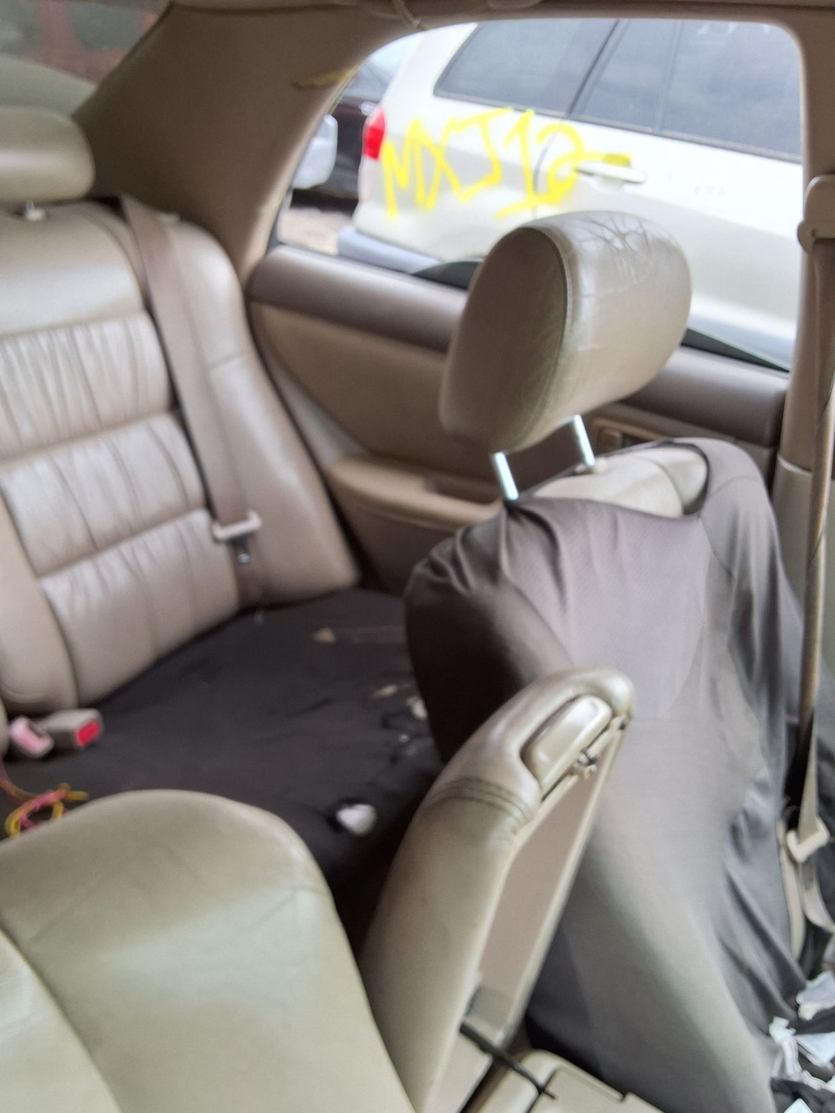 CA_VEHICLE_MEDIA:13146765175:3288499865