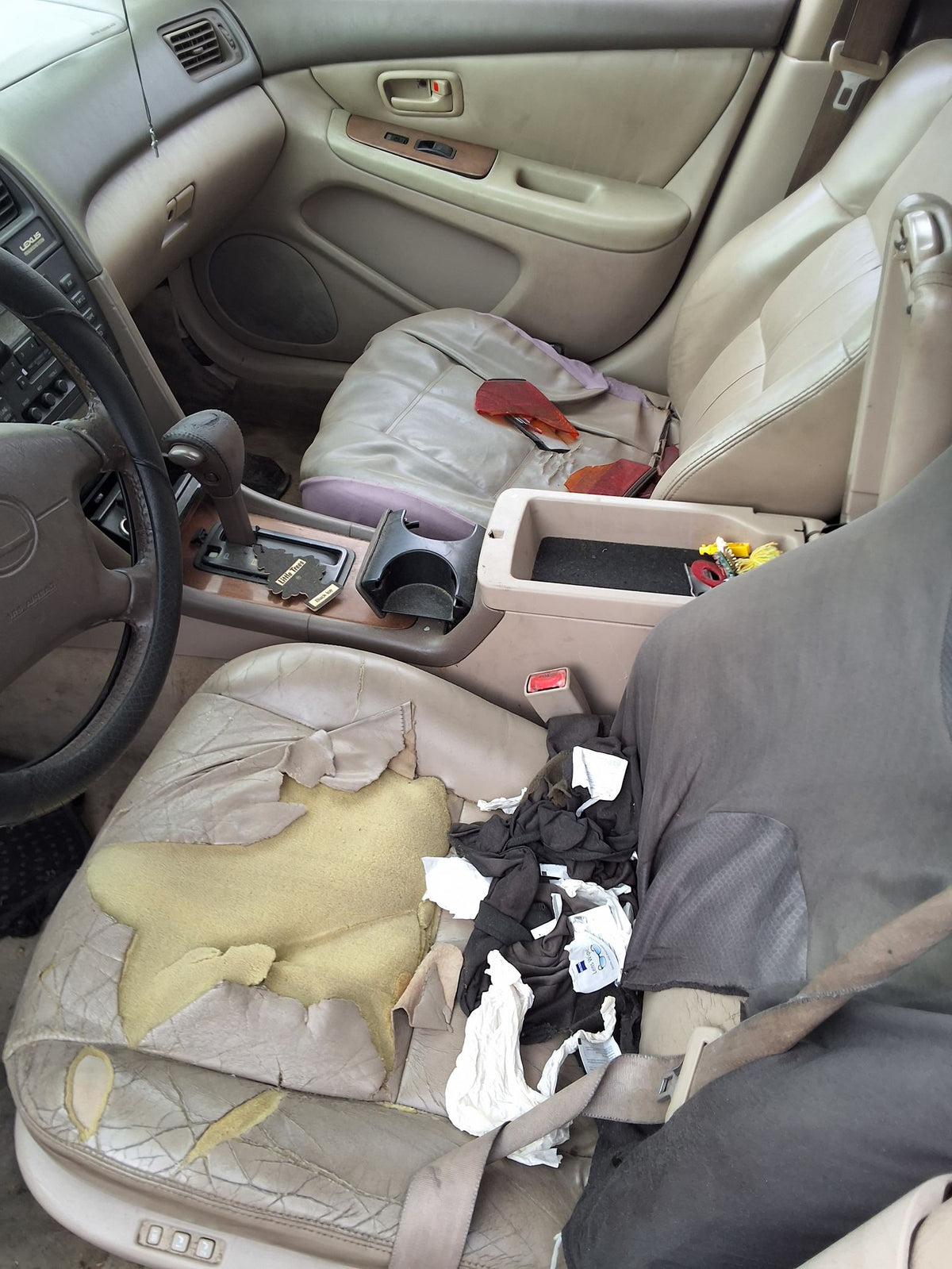 CA_VEHICLE_MEDIA:13146765175:3288499908