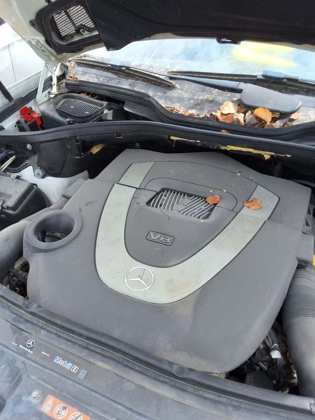 CA_VEHICLE_MEDIA:13146766816:3288537540