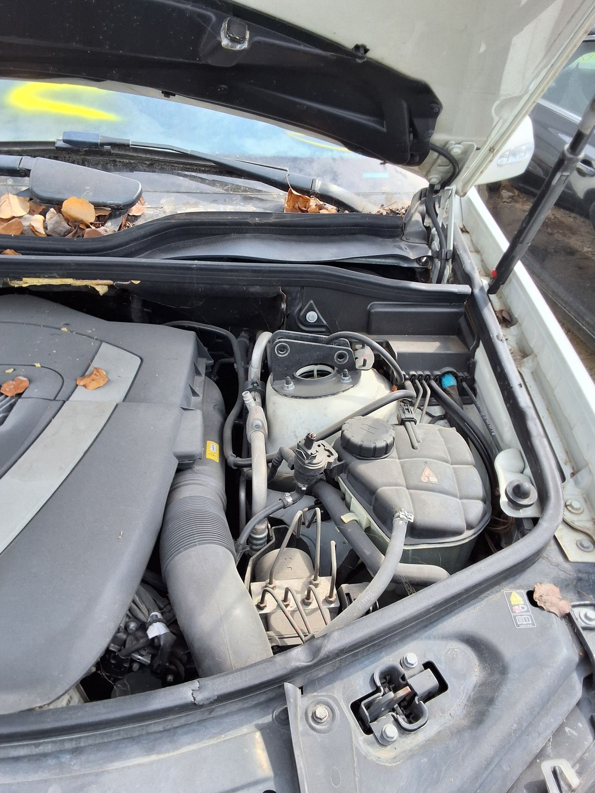 CA_VEHICLE_MEDIA:13146766816:3288537577