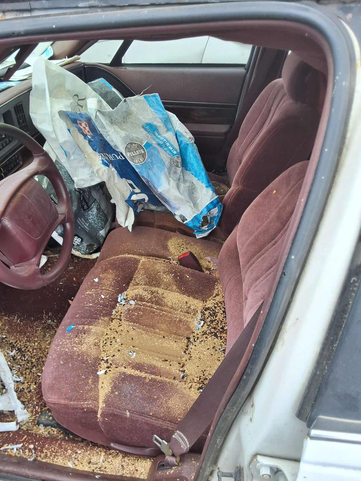 CA_VEHICLE_MEDIA:13146768153:3286747051