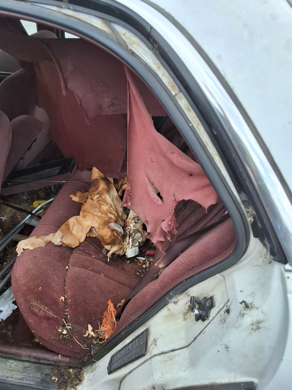 CA_VEHICLE_MEDIA:13146768153:3286747313