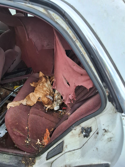 CA_VEHICLE_MEDIA:13146768153:3286747313