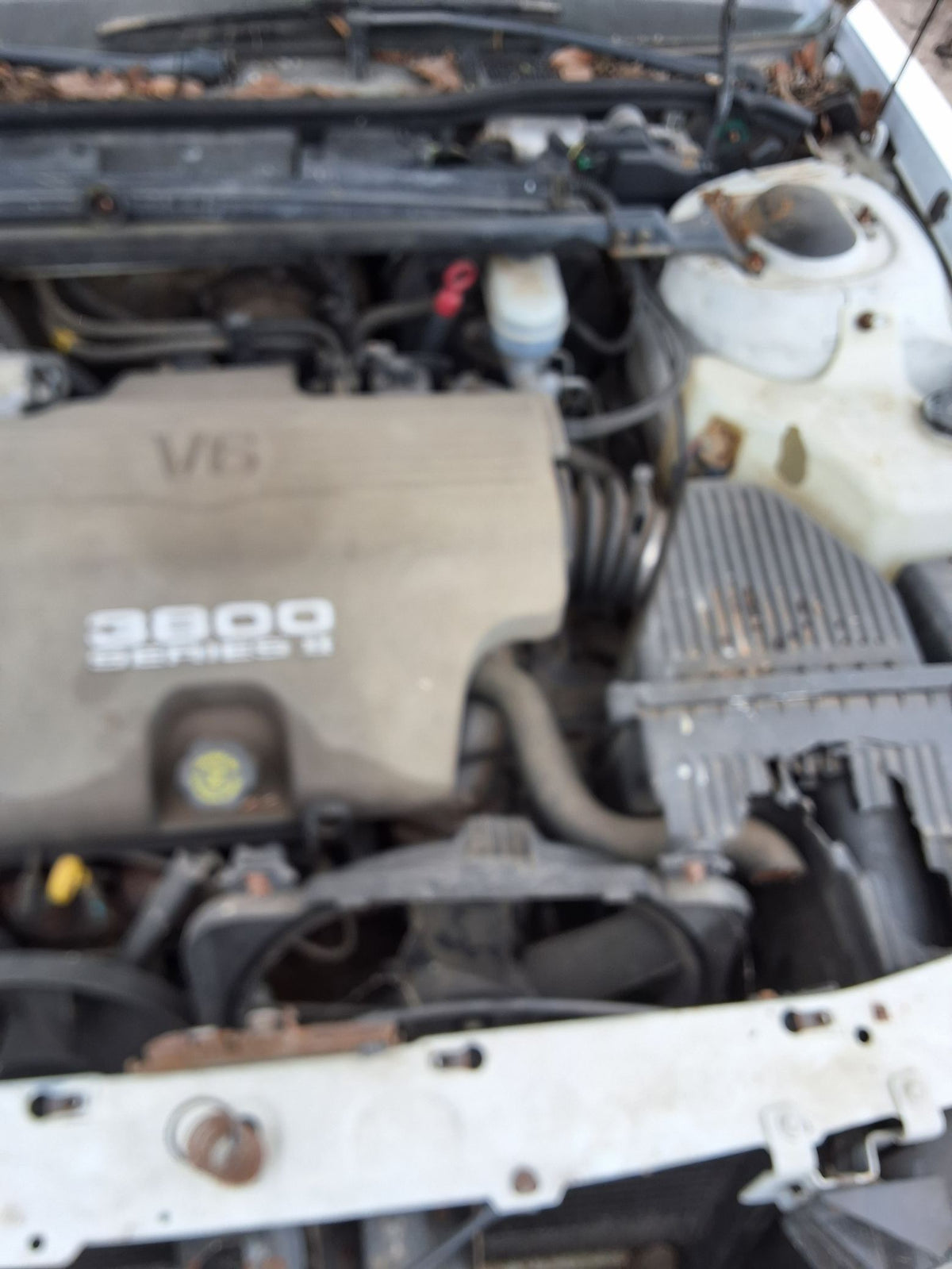 CA_VEHICLE_MEDIA:13146768153:3286747881